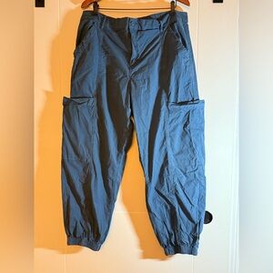 American Eagle Outfitters Blue Cargo Joggers